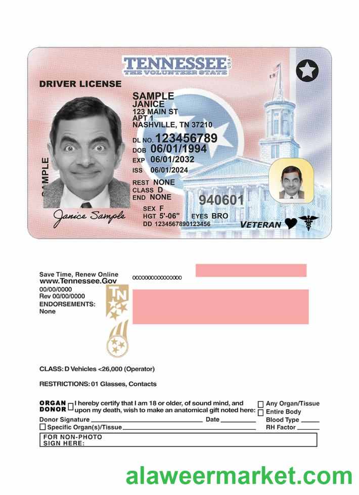 USA Tennessee driving license 2024-present